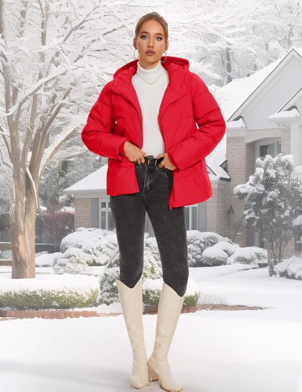 New Fashion Winter Women Clothing Ladies Winter Parka Bubble Crop Jacket Puffer Women's Coats Plus Size Coats - Image 5